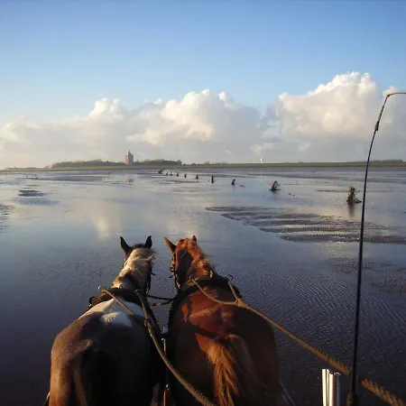 Apartment Residenz Vogelsand 1 Cuxhaven