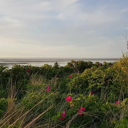 Residenz Vogelsand 1 Apartment Cuxhaven